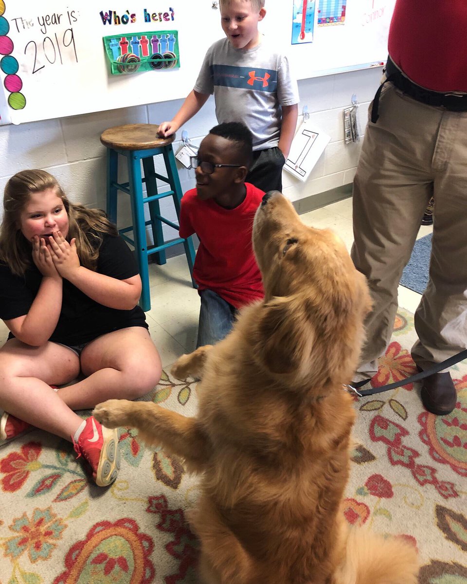 ElainnaAllen's tweet photo. We LOVE when our friends, Hunter and Mr. Steve, come to visit our classroom! 🙂❤️🐾 #TherapyDog #HappyFunFriday #LESpats #TeamDCS @TweetDCS_LES https://t.co/83yGXUjZgD