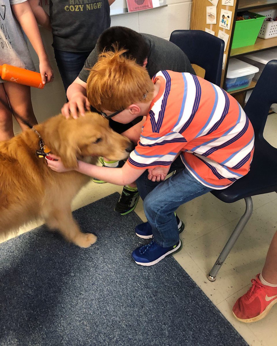 ElainnaAllen's tweet photo. We LOVE when our friends, Hunter and Mr. Steve, come to visit our classroom! 🙂❤️🐾 #TherapyDog #HappyFunFriday #LESpats #TeamDCS @TweetDCS_LES https://t.co/83yGXUjZgD