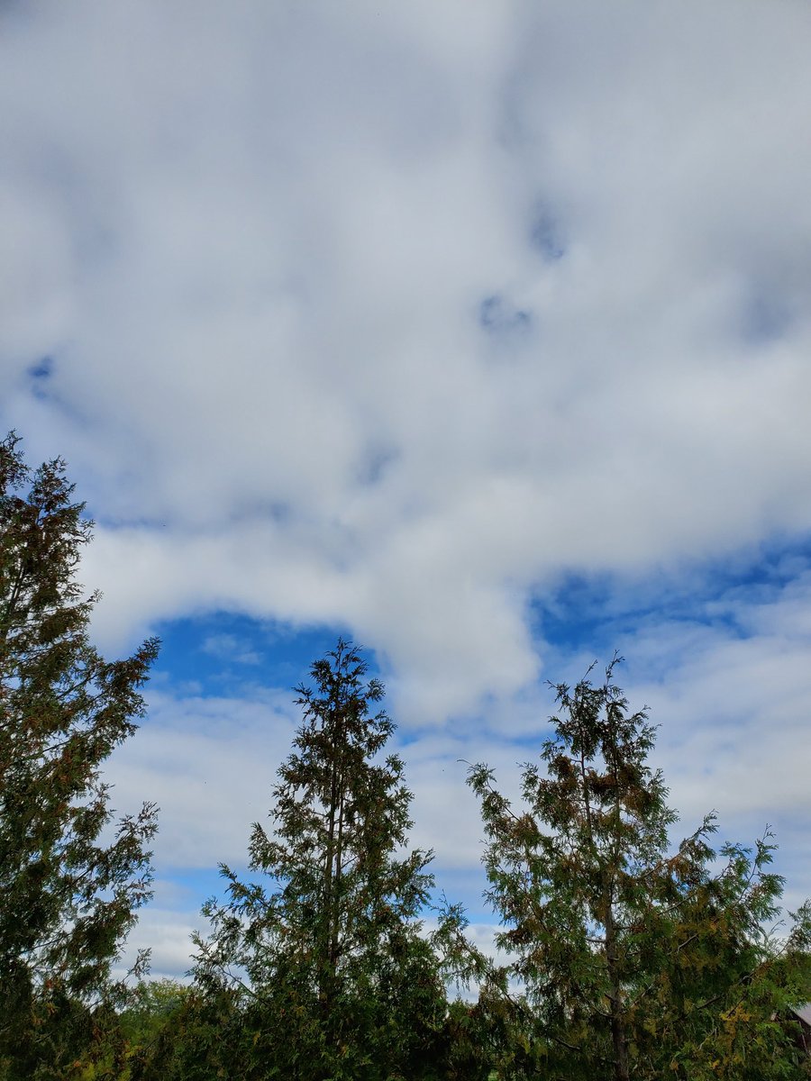 F3inGoderich's tweet photo. And the skies are clearing! Thanks Murph @MurphTWN
Venue all set and ready but no plan5s/flowers out as #frostadvisory for tonight
#sonisgettingmarried #momisnotwearingbeige #gainingadaughter https://t.co/c2Wq85WAGG