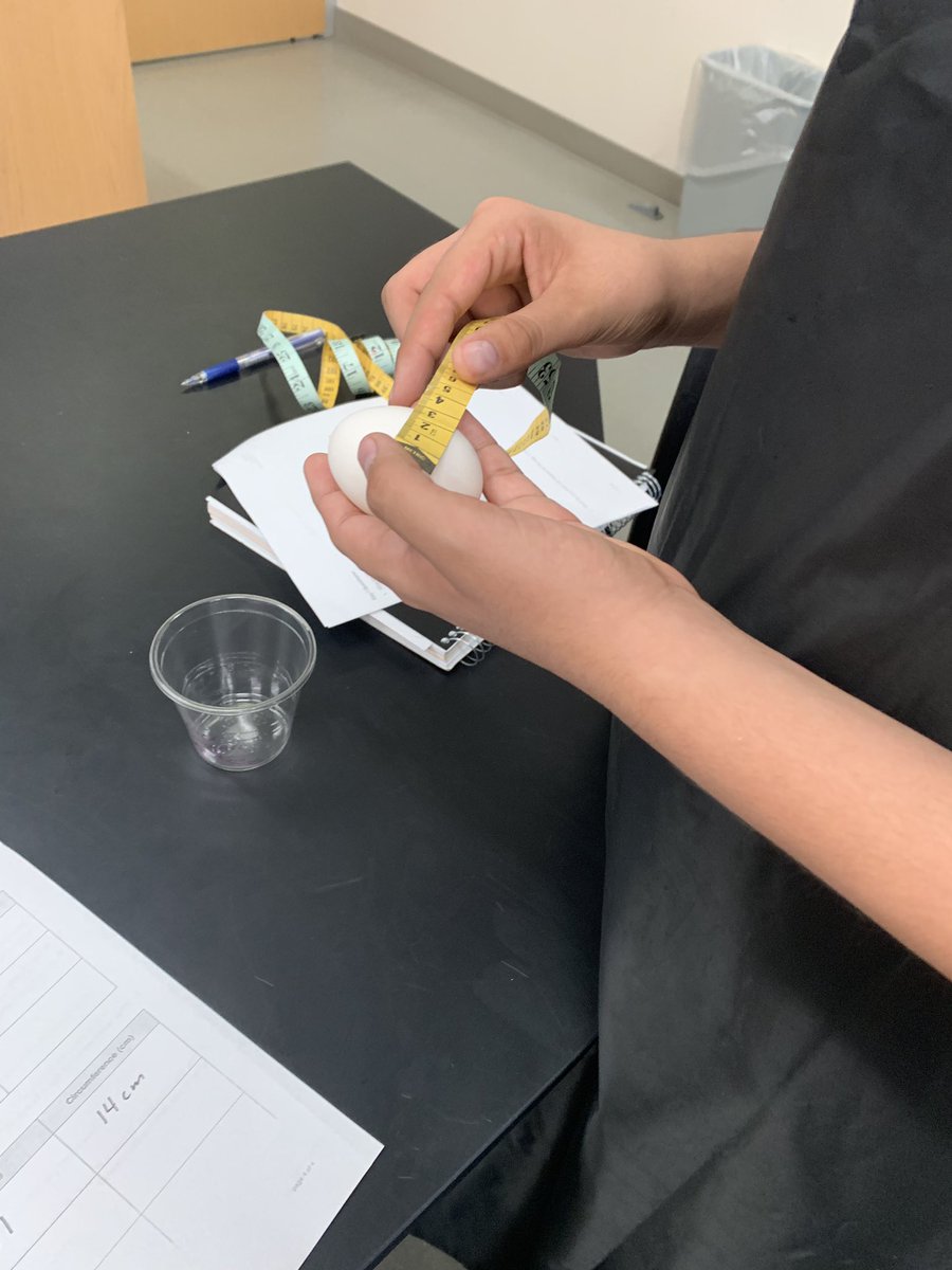 stephter's tweet photo. Osmosis Egg lab this week. 🥚 Science is fun but this teacher is “eggs”hausted 😜#octechs2 @ECISDScience #ecisdsciencerocks https://t.co/DIlv9UditY