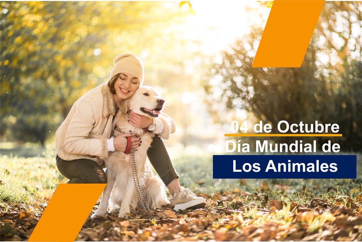 PreventoSeguros's tweet photo. Nuestros compañeros perfectos nunca tienen menos de cuatro patas. #DiaMundialDeLosAnimales https://t.co/wBnl3ufNLA