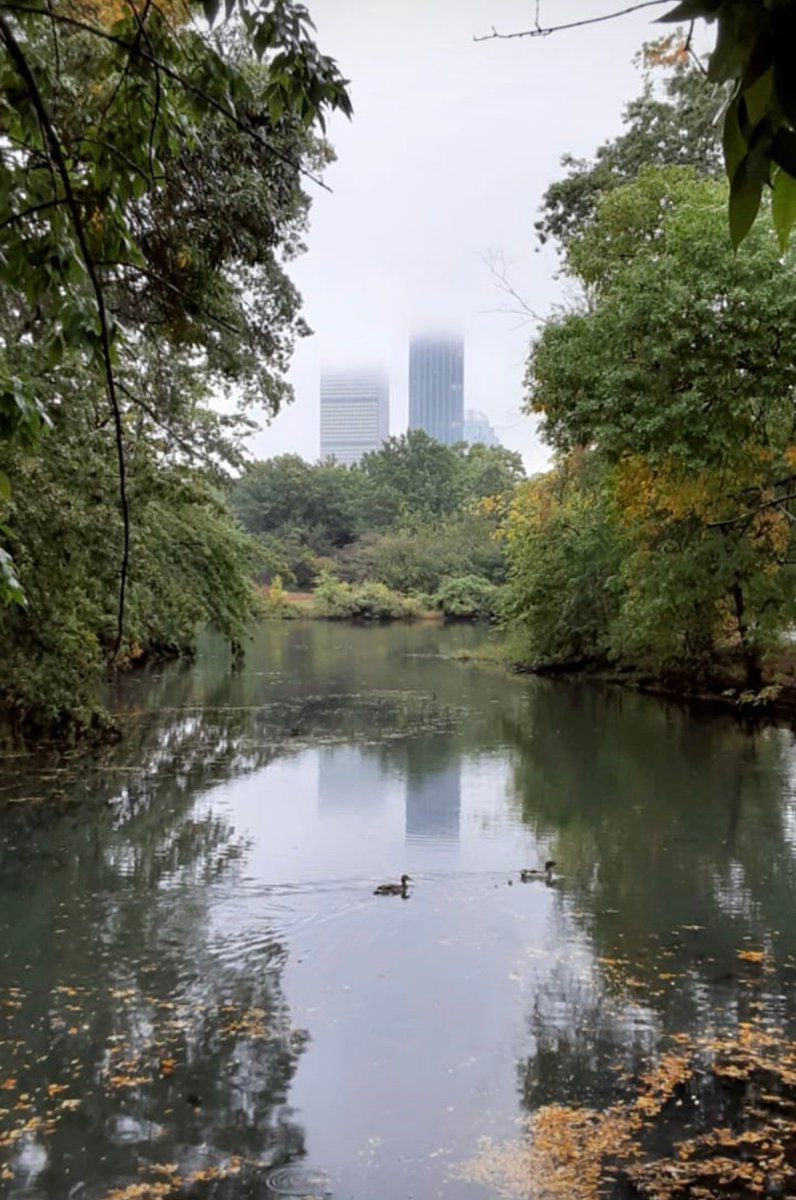 MassArt's tweet photo. View of Boston from the nearby Fens yesterday - cloudy, but lovely
📷 by MFA Film/Video student Salman Farhadi #MassArt #Boston #Fenway #Clouds #MassArtGradPrograms https://t.co/ZETT8DI7I8