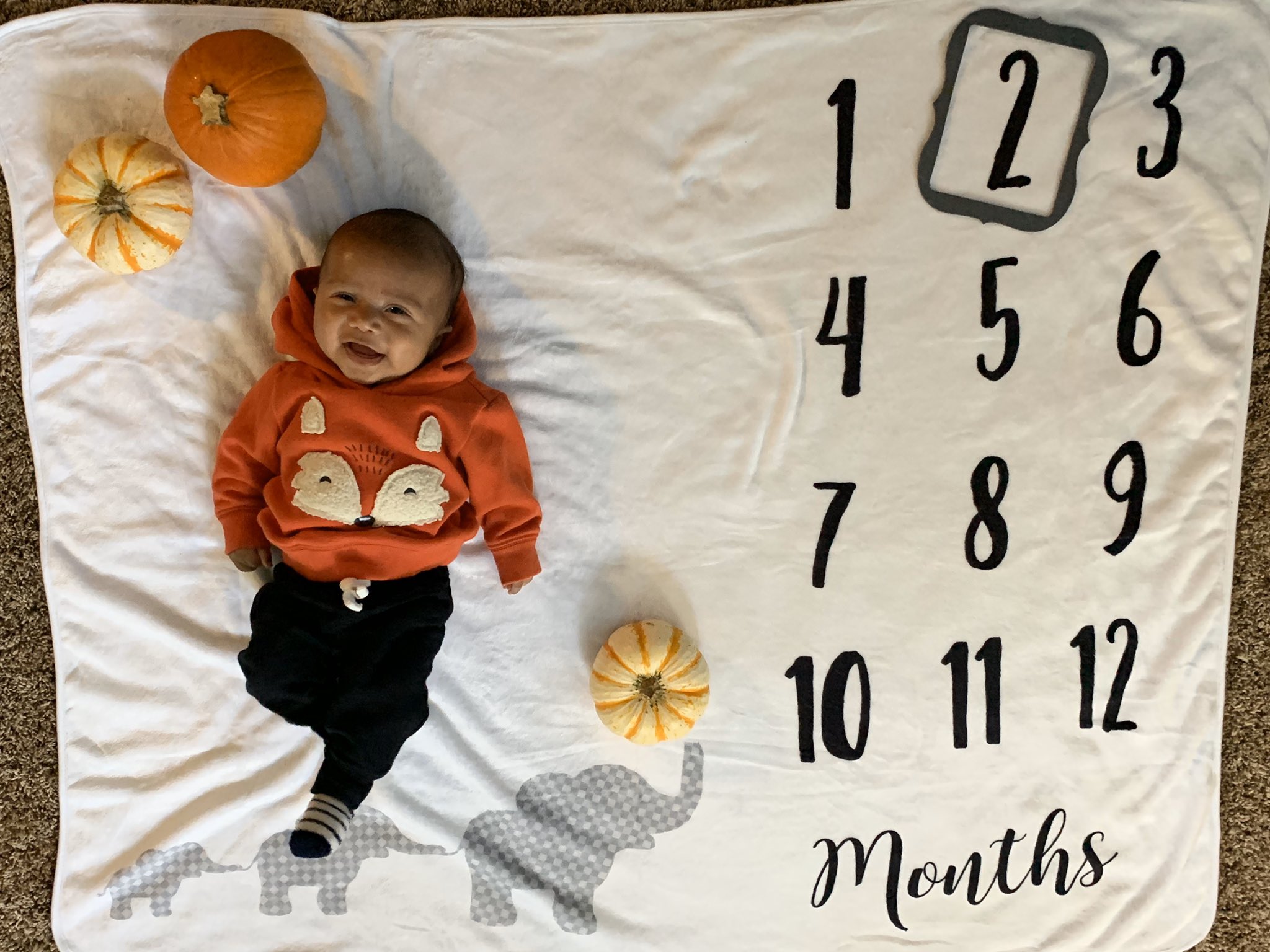 1 pic. Bubbas is ✌🏻 months today https://t.co/e6DUXWm3jc