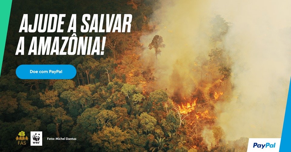 A FAS e a @WWF_Brasil promovem diversas ações em prol da #conservação da Amazônia, inclusive de combate ao #desmatamento e às #queimadas🌳🔥Por meio de uma parceria com a @PayPal foi criado um canal para receber #doações em defesa das #florestas. Ajude: https://t.co/MeF7oZECzq https://t.co/lQjAf4ozp5