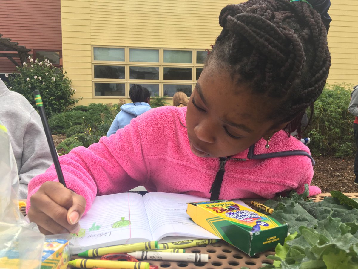 MMS_CSDA's tweet image. Grade 5 classes of Bakes and Walton worked on separating mixtures using evaporation and the artistic documentation of vegetation susceptible to the impending freeze.