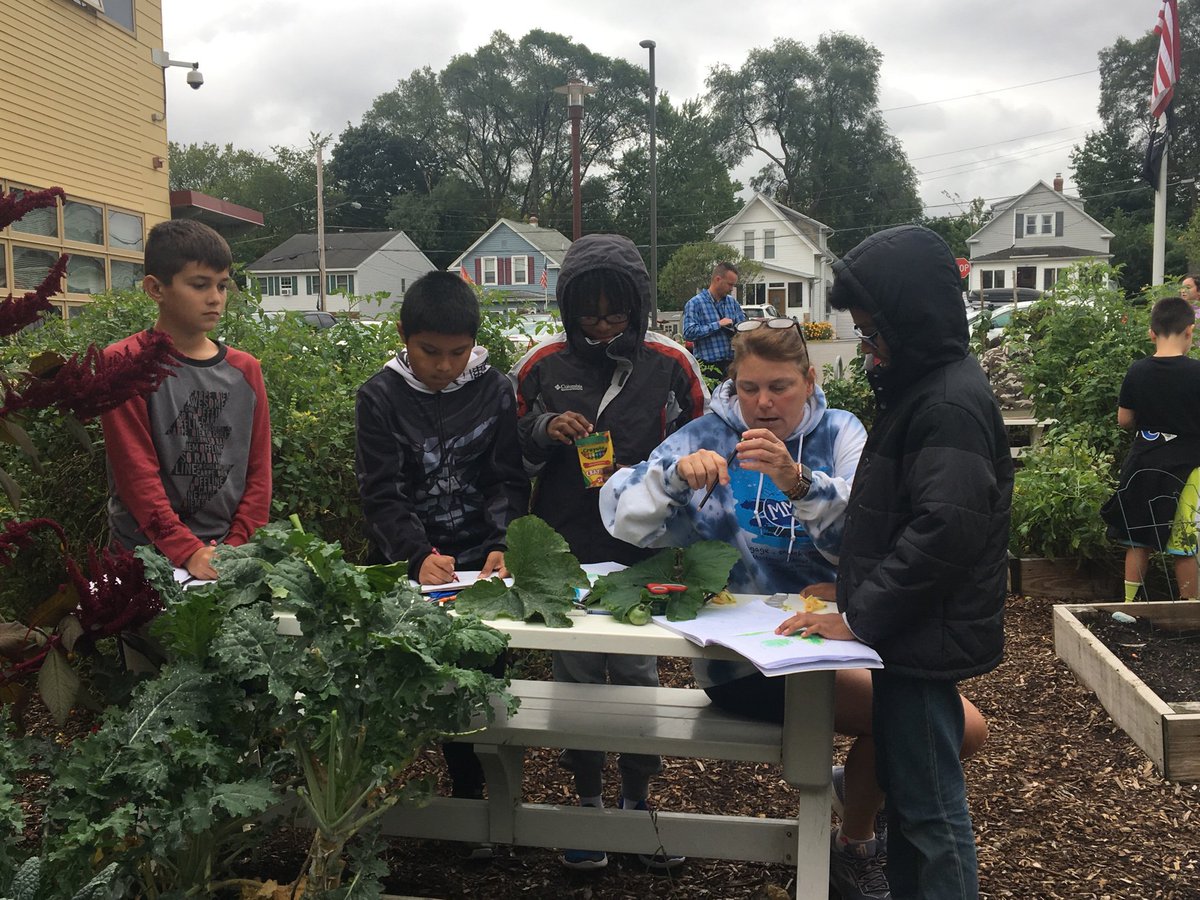 MMS_CSDA's tweet image. Grade 5 classes of Bakes and Walton worked on separating mixtures using evaporation and the artistic documentation of vegetation susceptible to the impending freeze.