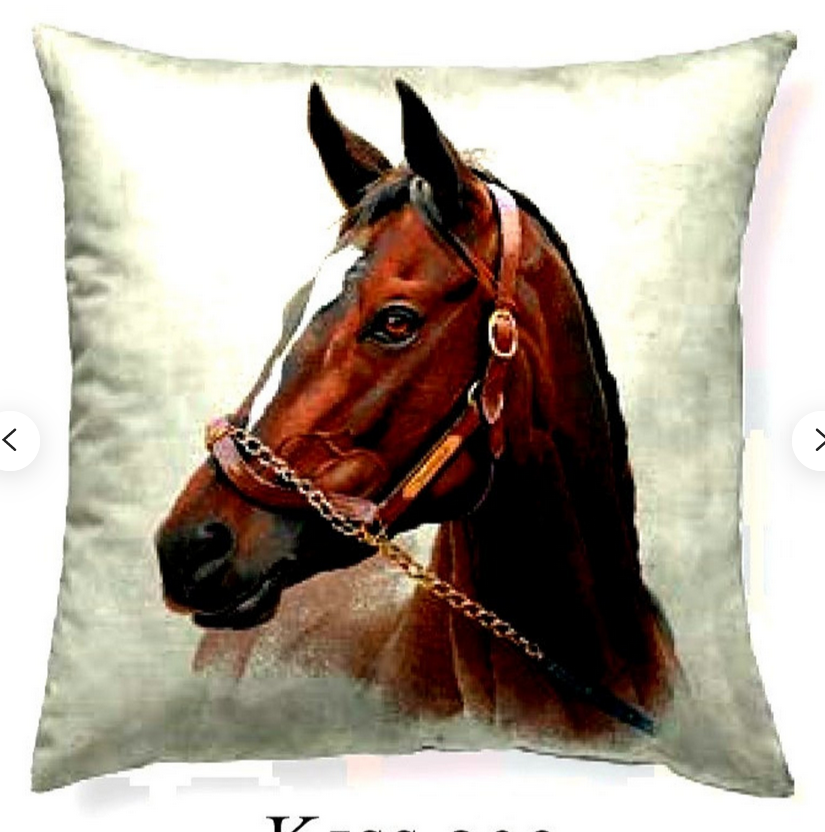 Svetlana Fedoriak On Twitter Decorative Pillow Horse Pillows