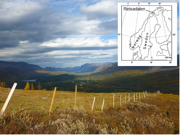 We are recruiting a postdoc to study the effects of large scale herbivory on nutrient supply to aquatic ecosystems in the Scandinavian tundra. Applications are due 15 November.  Please contact me with any questions.  @ArcticCIRC

umu.se/en/work-with-u…