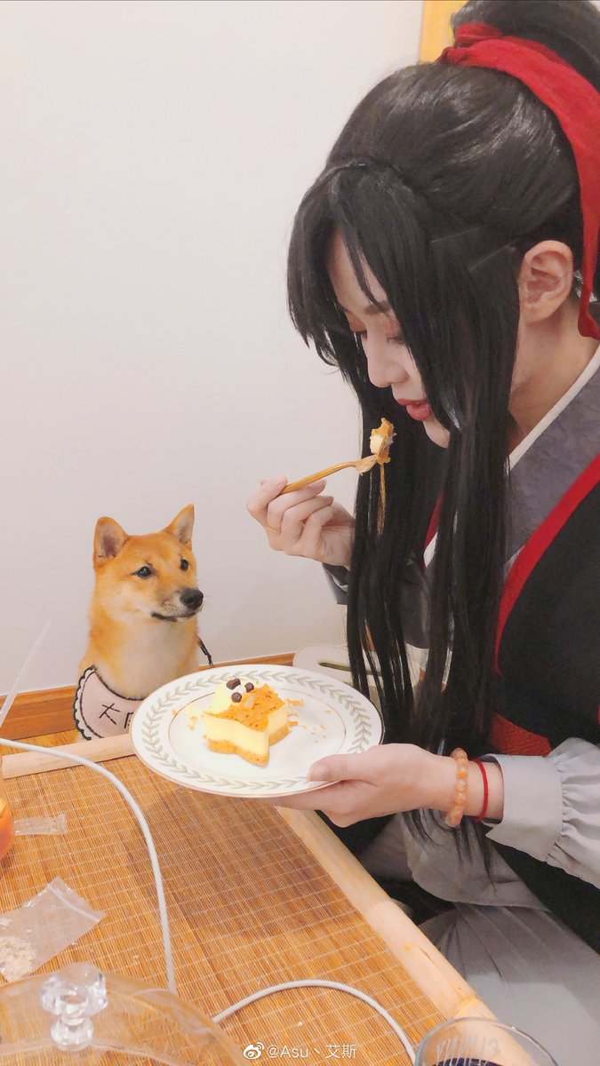 南京探店——🐶柴府.豆柴咖啡厅🐶
在最近南京网红动物咖啡店里，新晋了一家从魔都来得，以柴犬为主的撸狗咖啡厅！
柴府，一听就是以你柴为天下的一家店
✨空间大✔️
咖啡厅分撸狗区、休息区、和“员工"区（小柴的窝），客人一般都在撸狗区逗狗，累了就会回到休息区吃甜品🍰和饮料🥤
....
<a href="/asu_memoace/">Asu丶艾斯🐱</a>
