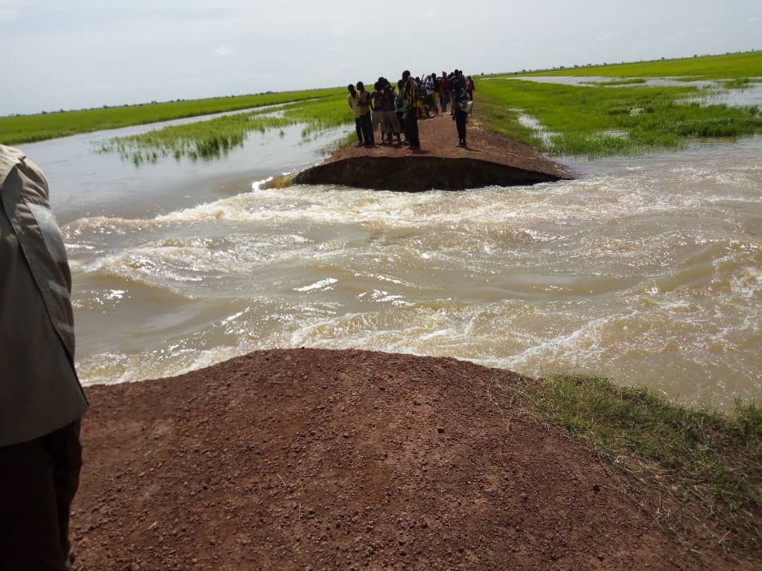 IbrahimaSadioF2's tweet photo. La Coalition FIT de Djenné essai de stopper le vidange de plusieurs Ha de champs de riz suite à la destruction de la digue. @PfRglobal @WetlandsInt https://t.co/V9dtxStFXq