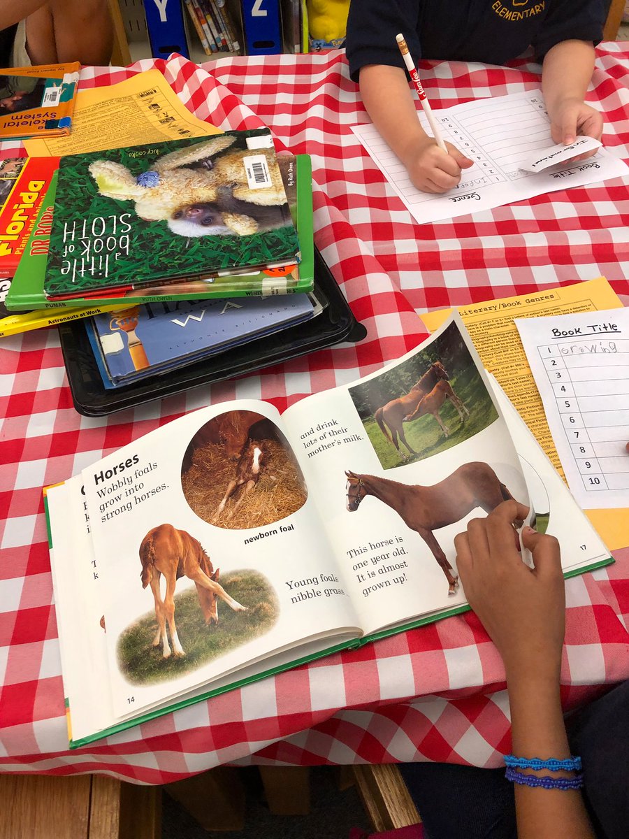 WimaumaLibrary's tweet photo. More satisfied customers! 2nd graders came in hungry to learn &amp; left with their minds full after “tasting” all the genres @WimaumaLibrary has to offer! Many soon to be favorites reserved for checkout! (Ironically-A delicious treat discovered by a student-an Italian cookbook! 🍝) https://t.co/DR8sYCyOTN