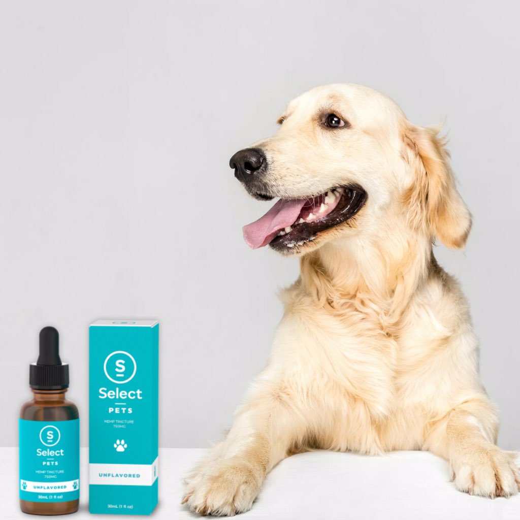 simplycbdshop's tweet photo. Help your pet find relief and calm with #selectcbd drops! Available in all the best doggy flavors including bacon 🥓 chicken 🍗 and peanut butter 🥜! #cbdforpets https://t.co/cYlRpJWJSa