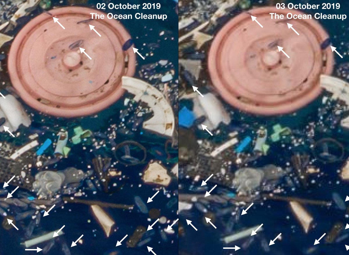 So...some people have been asking me to point out animals because they're having trouble seeing them. I went back to The Ocean Cleanup's website and the original image resolution has changed. Did they change it? You can find all my full-res images here:  https://www.deepseanews.com/2019/10/the-ocean-cleanup-and-floating-marine-life/
