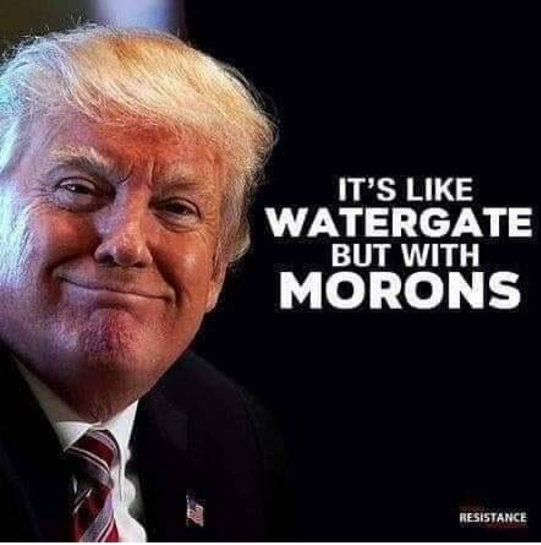 RaeNancy's tweet photo. @GOP @gopleader, @GOPChairwoman  you obviously can't grasp the concept of evidence, proof or facts. There are plenty of all showing @potus is a lying, corrupt traitor to America. It is time to stop the madness &amp; 
#ImpeachTrump 
#ImpeachThemAll https://t.co/8bEP7n1yQ1