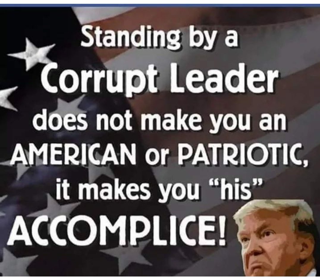 RaeNancy's tweet photo. @GOP @gopleader, @GOPChairwoman  you obviously can't grasp the concept of evidence, proof or facts. There are plenty of all showing @potus is a lying, corrupt traitor to America. It is time to stop the madness &amp; 
#ImpeachTrump 
#ImpeachThemAll https://t.co/8bEP7n1yQ1