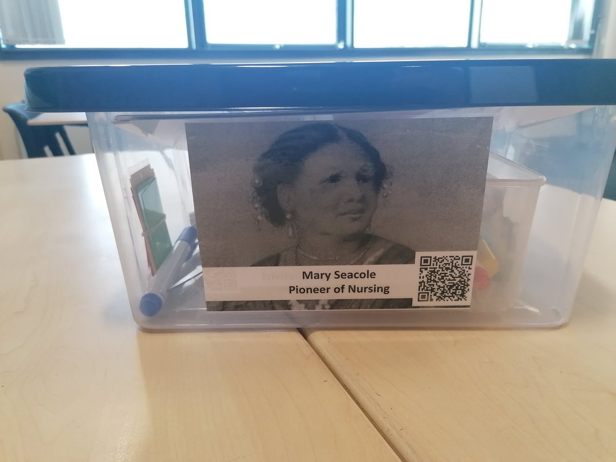 My resource boxes, each named after a historically significant woman that links to more information. #strathnqt #historyteacher