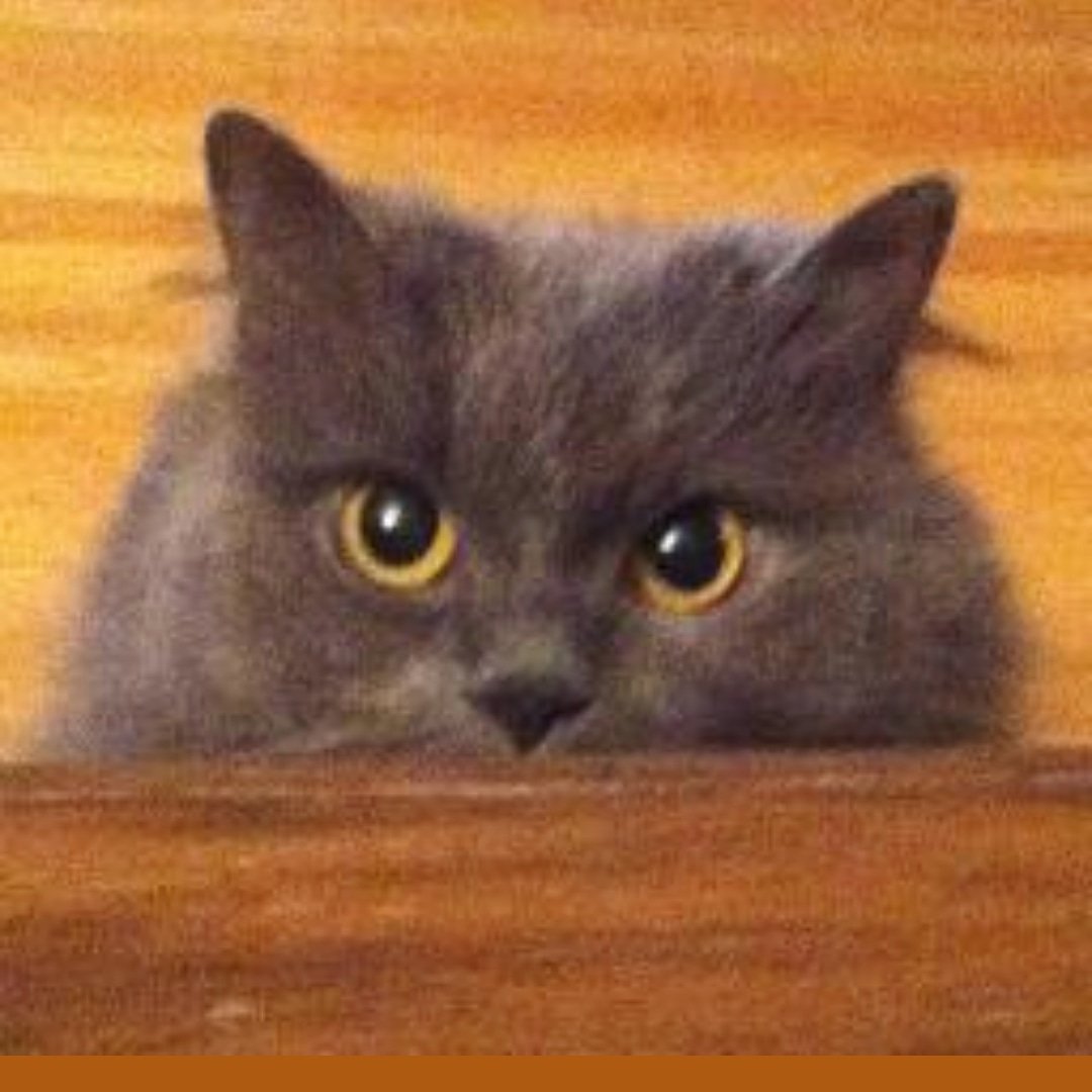 TehRealKitty's tweet image. Kitty haz an instagram now! Check out my furry butt at Instagram.com/tehrealkitty #cats #kitty #catsoftwitter #instagram