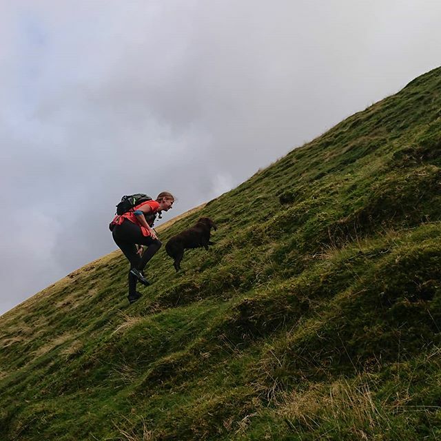#bogdog on her way up clough head, we wish we had 4 legs too #steep #theonlywayisup #doggraham ift.tt/30IEW4A