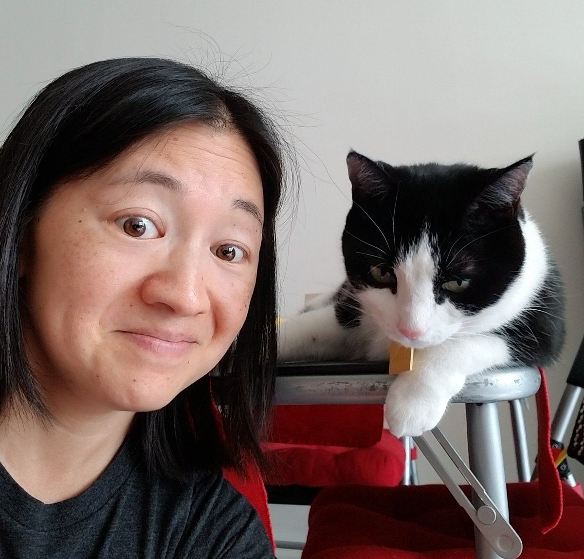 singsinthecar's tweet photo. Posed with one of our cats today for #CatsForKat. It took a few attempts. https://t.co/jYadXOQgnS