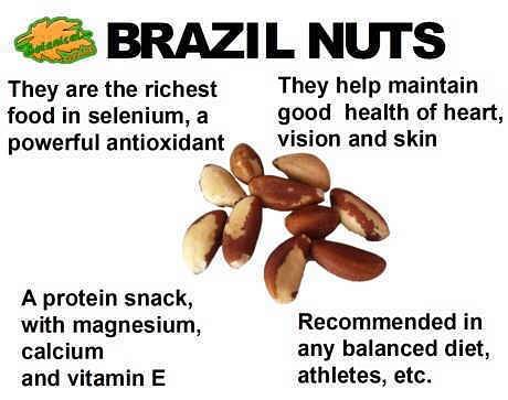 TierraFarm's tweet photo. The many benefits of Brazil Nuts!
https://t.co/y5m0jRQFyT https://t.co/d8GBbEfqEJ