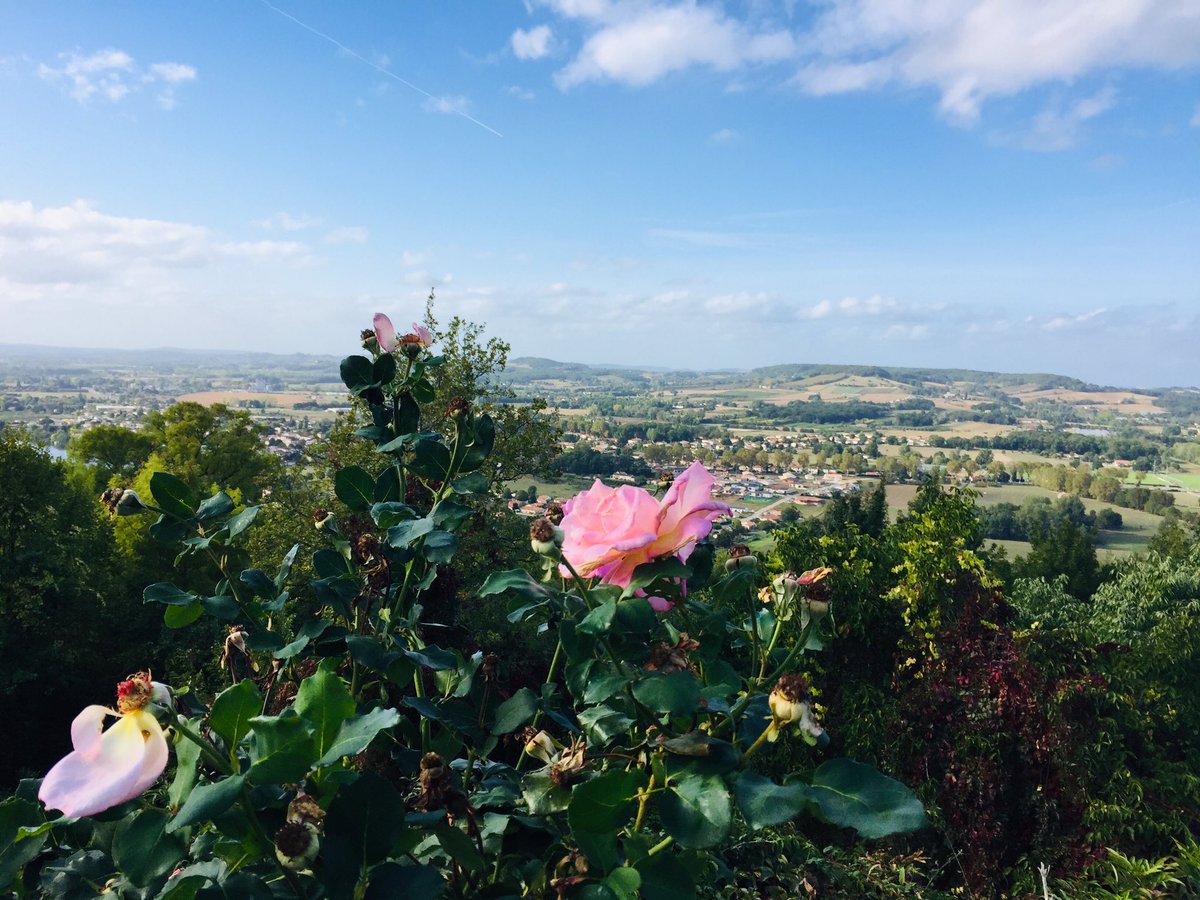 GiteWest's tweet photo. Fabulous ride today.
#BreastCancerAwarenessMonth #OctobreRose #thisgirlcan 
#cycling https://t.co/3nexz9Mvez