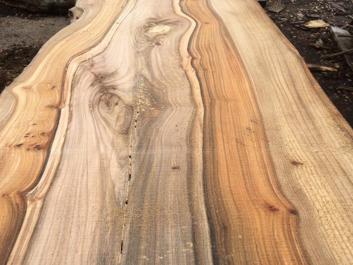 WenTimberCentre's tweet photo. The end of another busy week and we want to show you these gorgeous Welsh Elm boards that were milled this week ππ. These are a bit special, I am sure you will agree and will be ready for sale next year, watch this space! #welshelm #anotherbusyweek #hardwoods #newport https://t.co/1HJL2B0I4A
