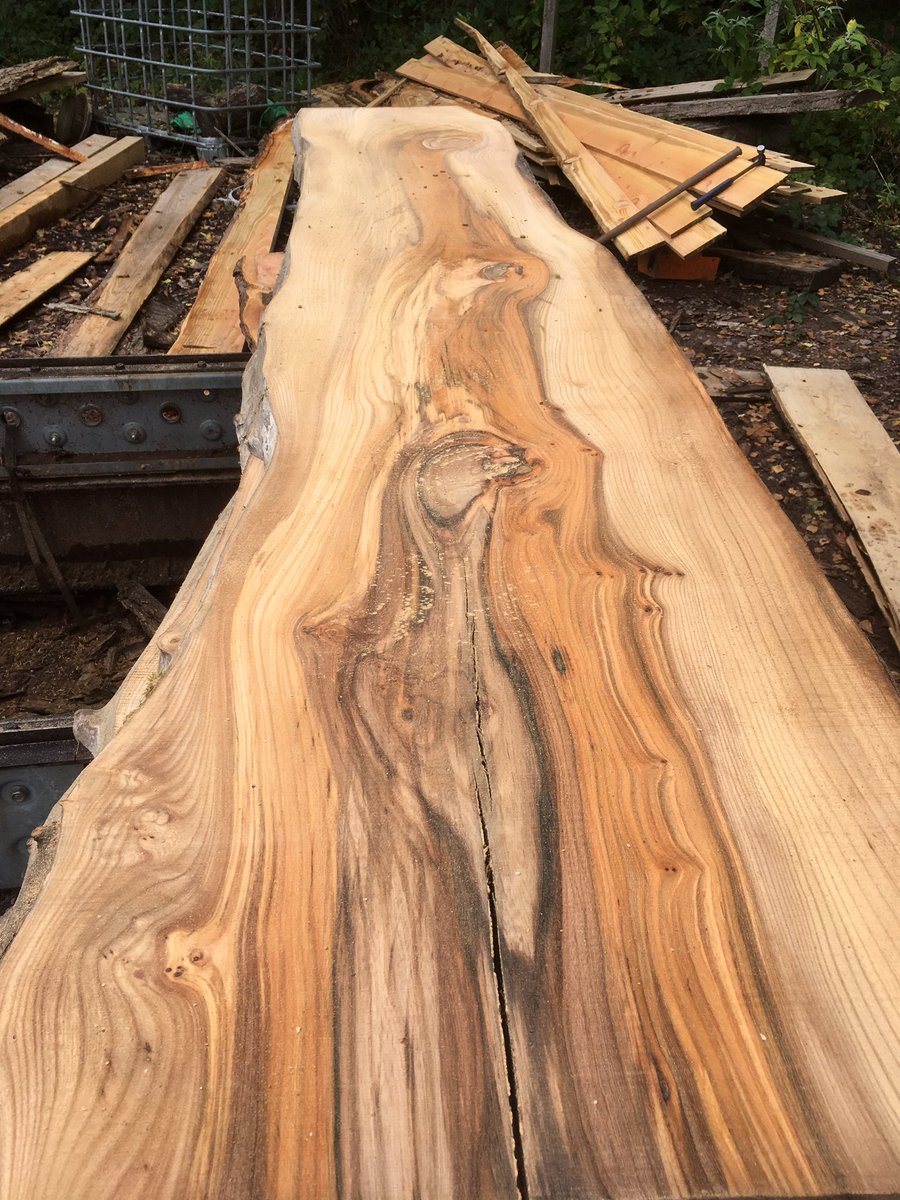 WenTimberCentre's tweet photo. The end of another busy week and we want to show you these gorgeous Welsh Elm boards that were milled this week ππ. These are a bit special, I am sure you will agree and will be ready for sale next year, watch this space! #welshelm #anotherbusyweek #hardwoods #newport https://t.co/1HJL2B0I4A