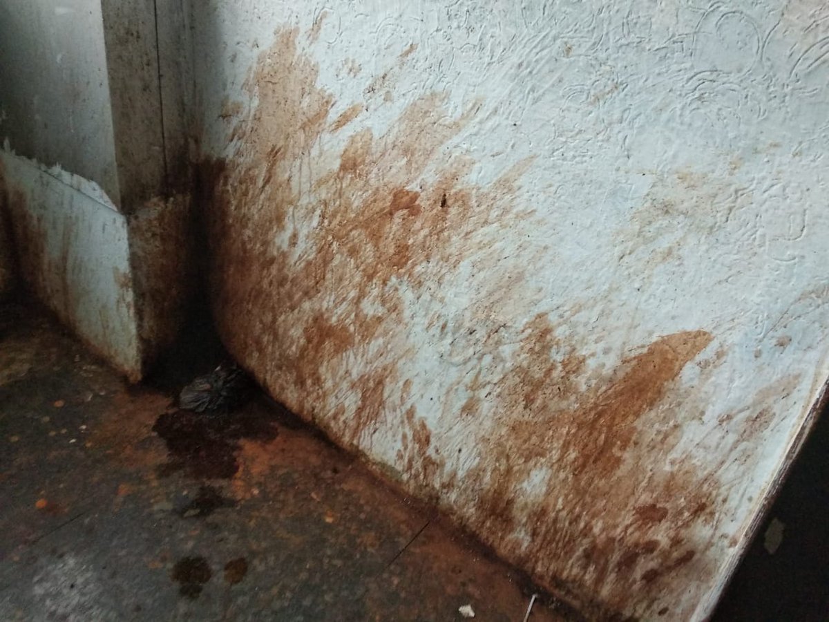 Reporter Md shafi ullah (@fazzukhan2) on Twitter photo *Negligence of doctor to patient at government maternity hospital patla buruj near city college and no cleaning no any sanitation work in side or out side...this is our golden telangana ? <a href="/KTRTRS/">KTR UPDATES</a> <a href="/bonthurammohan/">Dr. Bonthu Rammohan</a> <a href="/Babafasiuddin/">Baba Fasiuddin</a> <a href="/asadowaisi/">Asaduddin Owaisi</a> <a href="/HiHyderabad/">Hi Hyderabad</a> <a href="/VijayGopal_/">Vijay Gopal</a> <a href="/TOIHyderabad/">TOI Hyderabad</a> *Negligence of doctor to patient at government maternity hospital patla buruj near city college and no cleaning no any sanitation work in side or out side...this is our golden telangana ? <a href="/KTRTRS/">KTR UPDATES</a> <a href="/bonthurammohan/">Dr. Bonthu Rammohan</a> <a href="/Babafasiuddin/">Baba Fasiuddin</a> <a href="/asadowaisi/">Asaduddin Owaisi</a> <a href="/HiHyderabad/">Hi Hyderabad</a> <a href="/VijayGopal_/">Vijay Gopal</a> <a href="/TOIHyderabad/">TOI Hyderabad</a>