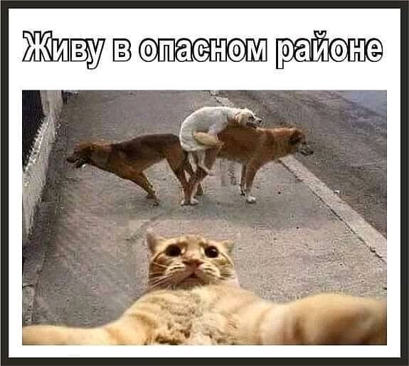 Anatoliy.Скайп...anatoliy. kartashov 1 (@anatoli77525915) on Twitter photo 