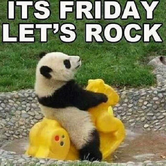 Jessica Lynn Červinková (@jessicalynnimg) on Twitter photo 