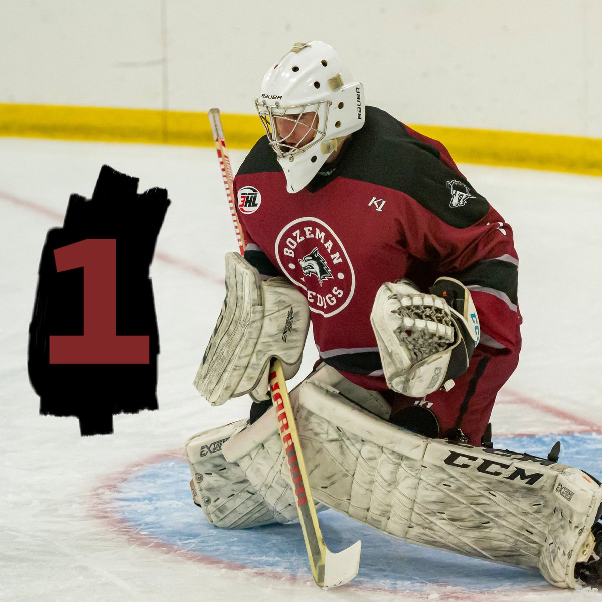 Bozeman Icedogs tweet media