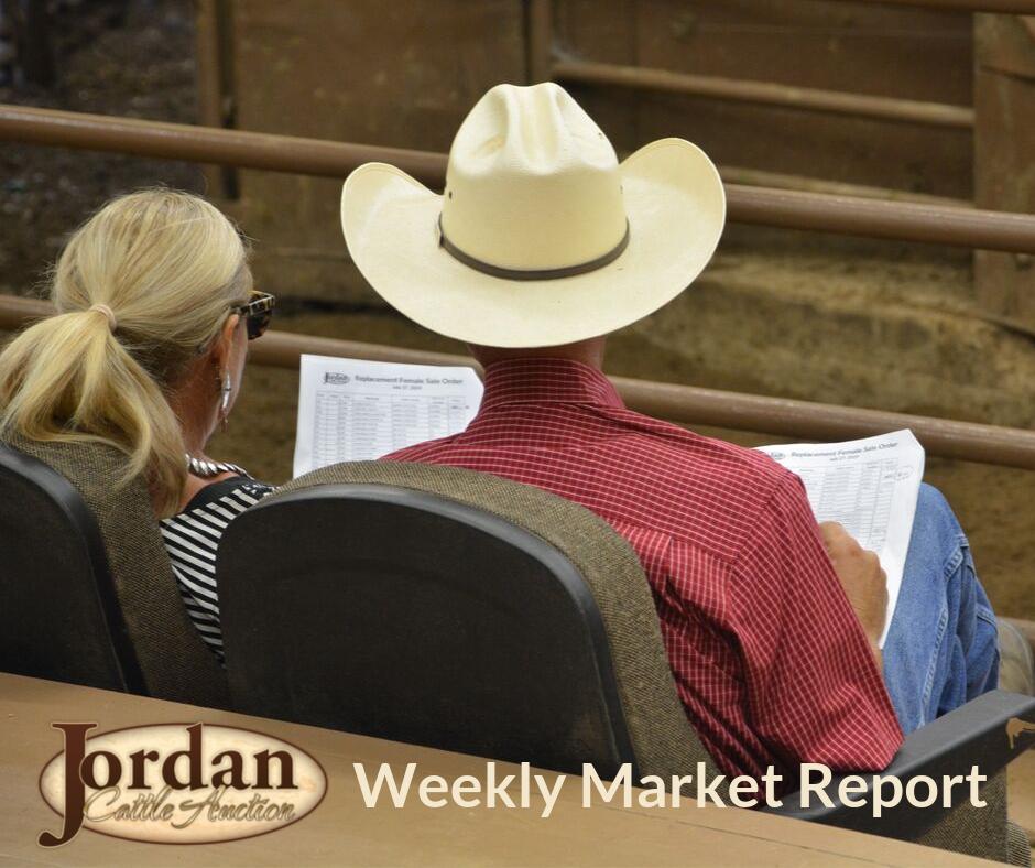 Jordan Cattle Auction On Twitter Market Report For Mason San