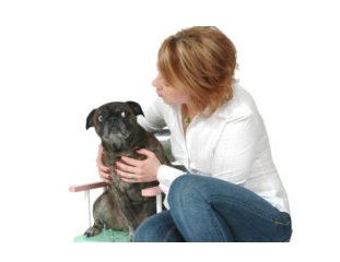 Body language is EVERYTHING!
drsophiayin.com/blog/entry/wha…