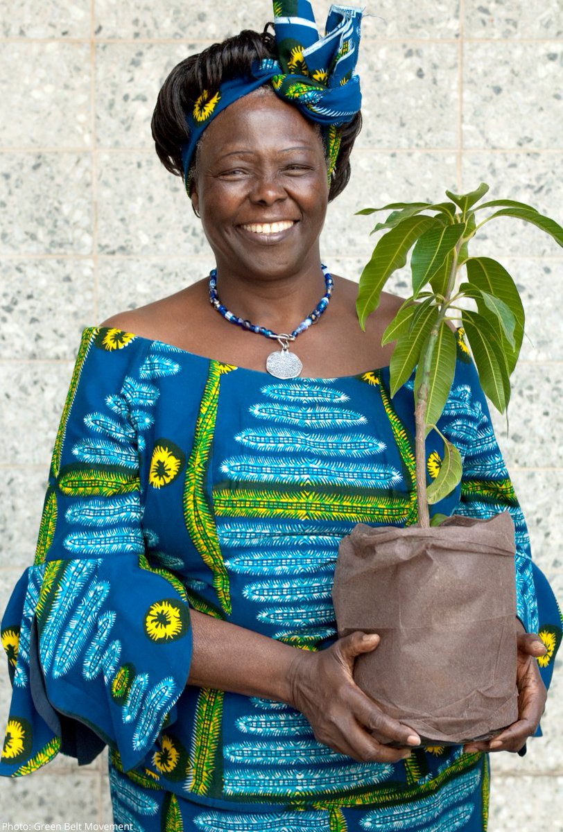 NobelPrize's tweet photo. Highlights from the history of the Nobel Peace Prize.

Bertha von Suttner, often seen as the inspiration for the prize, Martin Luther King Jr, the youngest laureate at the time, and Wangari Maathai, the first female African laureate. https://t.co/bRypu62P2d