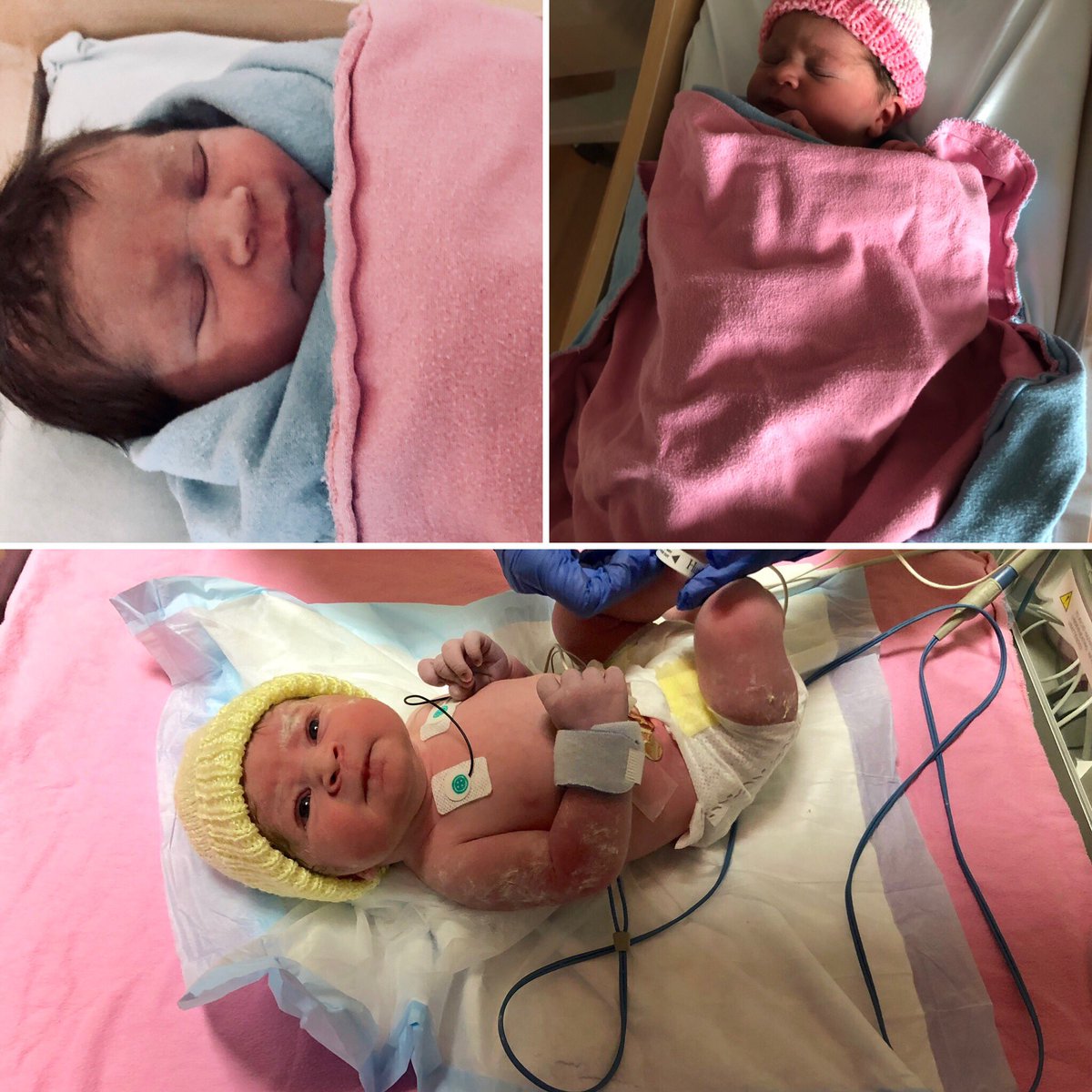 tobyburgin's tweet photo. Made a new hire last night, full time position after a few years of training. Emily Joy Burgin 6lb 13oz praising God for her safe arrival this morning  Oct 4 1:49am. https://t.co/n2icWaKcLD