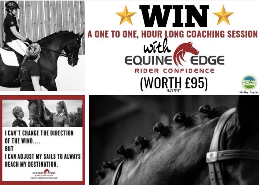 socialtailsmktg's tweet photo. ⭐️🐴We have a brilliant competition on #Facebook to win a one to one coaching session with the lovely Bonita from 
@Equineedgerider
You've got to be in it to win it so head over to our FB page now to enter: https://t.co/jQRAQo7EbY #Competition #win #equestrian #horseriding ⭐️🐴 https://t.co/1qfmG0uZxh