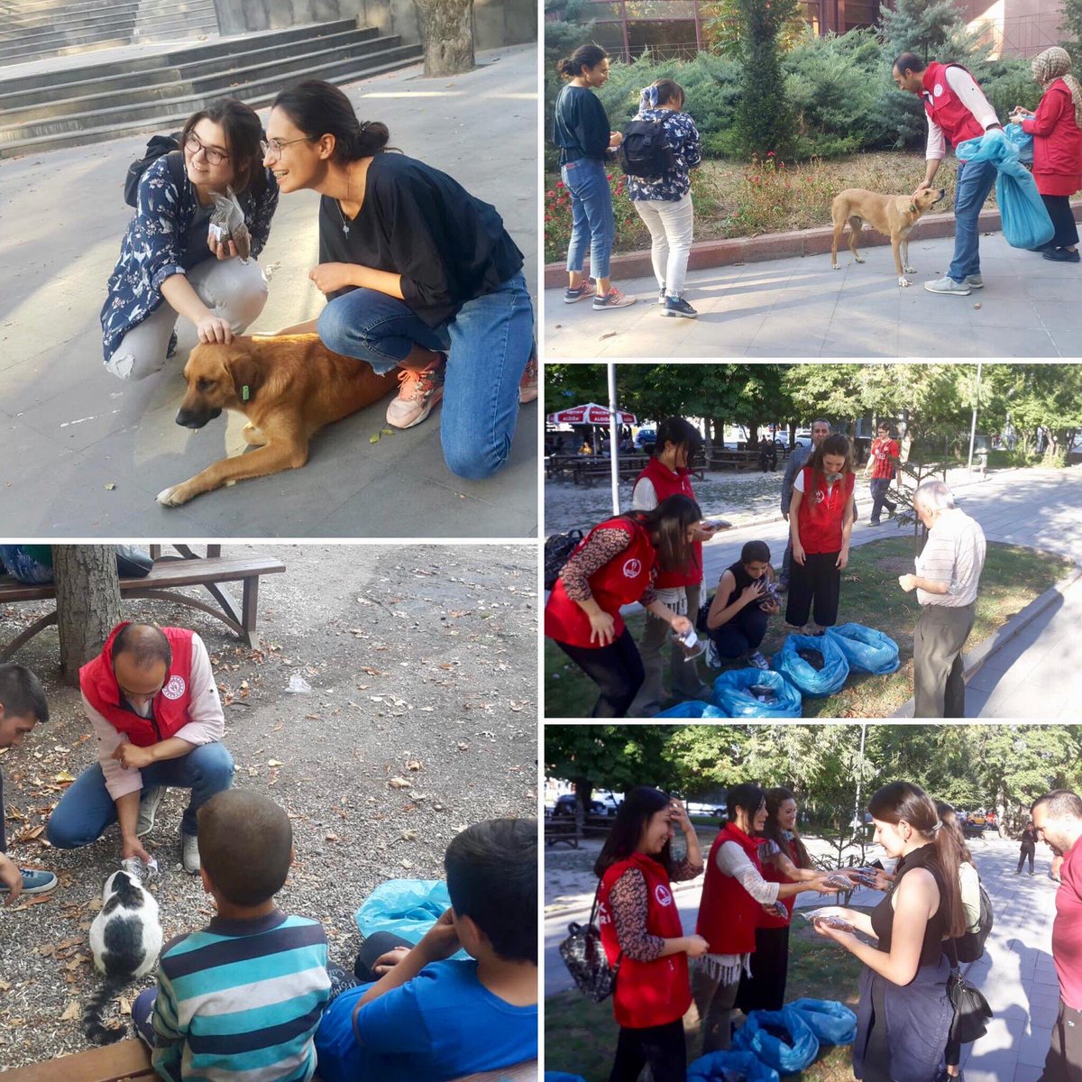 kasapoglu's tweet photo. Bu dünya bizim olduğu kadar onların da...

Havada, suda, toprakta, gıdada onların da hakkı var. Bu hakkı savunmak ve bu hukuku korumakla yükümlü olan bizleriz. 

Genclik merkezi gönüllülerimiz ile birlikte sessiz dostlarımızın sesi, hamisiyiz. 

#4EkimHayvanlarıKorumaGünü https://t.co/7iQ040tIC4