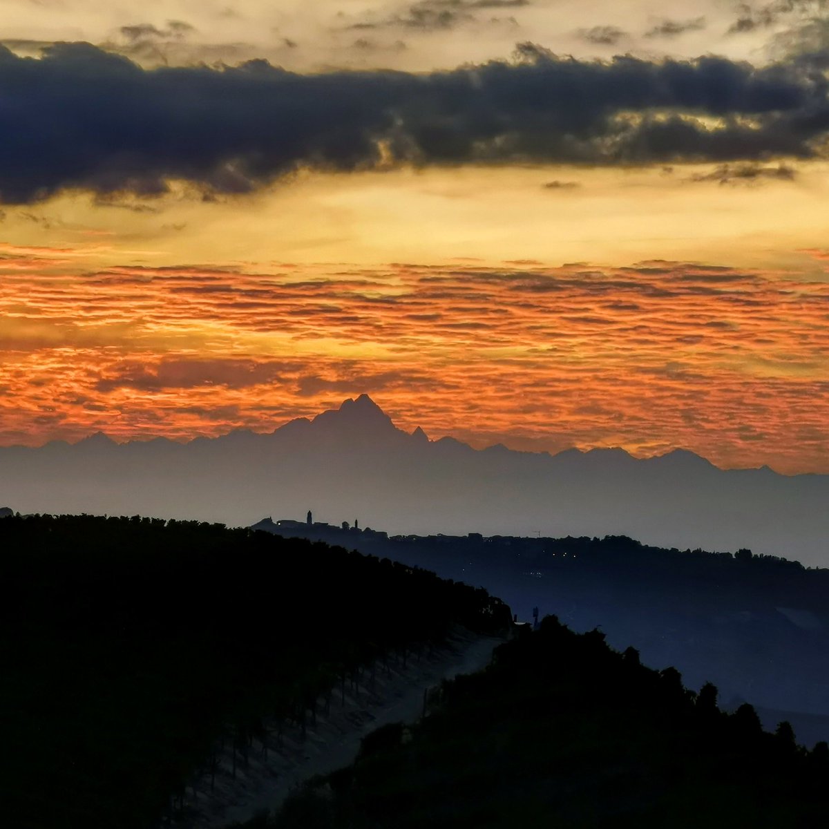FratelliAimasso's tweet photo. Good Night 😎 #instalanghetti #ig_piemonte #ig_cuneo #wine #langhe #monviso #loves_united_cuneo #volgocuneo #volgopiemonte #cool #sunset #autumn #bigbenchcommunityproject #lapanchinadeldolcetto #tabui https://t.co/qsVH0wfaNj