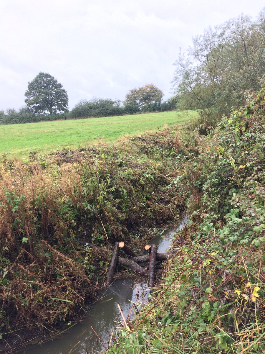 WiltsRivers's tweet photo. Huge thank you to everyone who helped build #leakydams and skylight at Morningside this week, here's one we made earlier...

Next #riverrestoration project starts on Monday in Wilsford, near Pewsey. Email water@wiltshirewildlife.org for details
#volunteer #nfm @WiltsWildlife https://t.co/2Zsor9OG1L