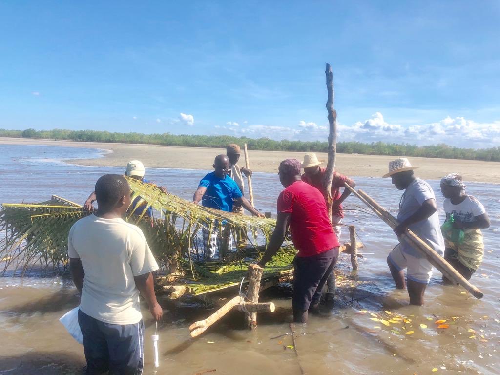 Foto Ccp Orang Korea