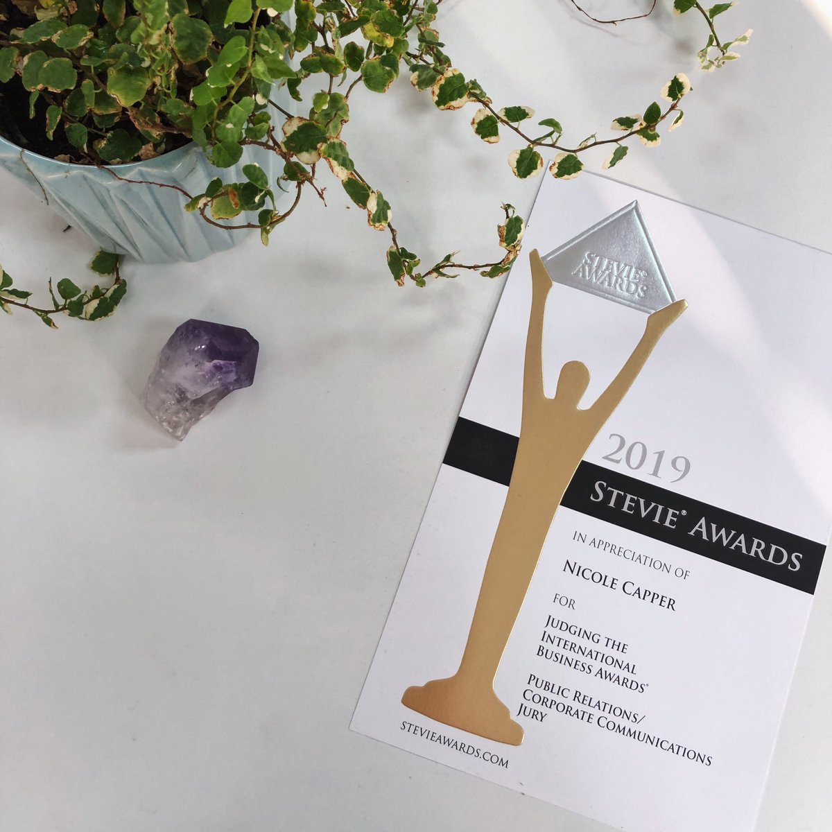 Nicole Capper, Mango-OMC’s MD and owner, participated as a judge in the 2019 <a href="/thestevieawards/">The Stevie® Awards</a> which has become one of the world’s most coveted prizes since its origin in 2002. #pr #pragency #digitalmarketing #stevieawards #thestevieawards #awards