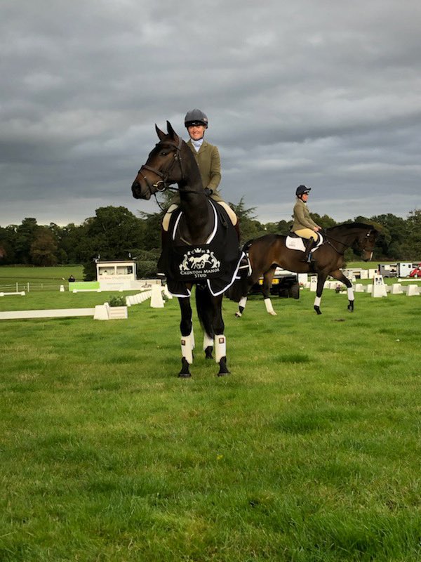 Many congratulations to ⁦<a href="/ElizaStoddart/">Eliza Stoddart</a>⁩ and Codebreaker. WINNERS of the 5yo Championships today ⁦<a href="/bedeevents/">Bede Events</a>⁩ Osberton. Another super horse bought from this yard!!
