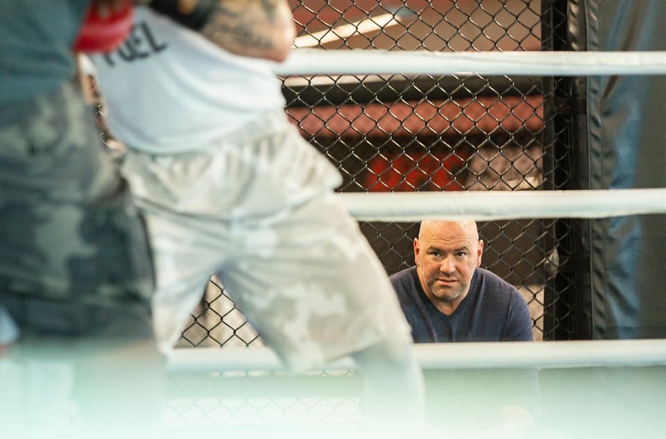 CCCBoxing's tweet photo. A wise person once said ‘patience is a form of action’ 💫

Just over a decade ago @UFC boss @danawhite told a young scrappy kid to ‘come back when you’re older’. 10 years later the Crippler @Crowley16LV did exactly that. 

Don’t give up your dreams ✨ #PTBO #UFC #Boxing https://t.co/Pu3JcfJZM4