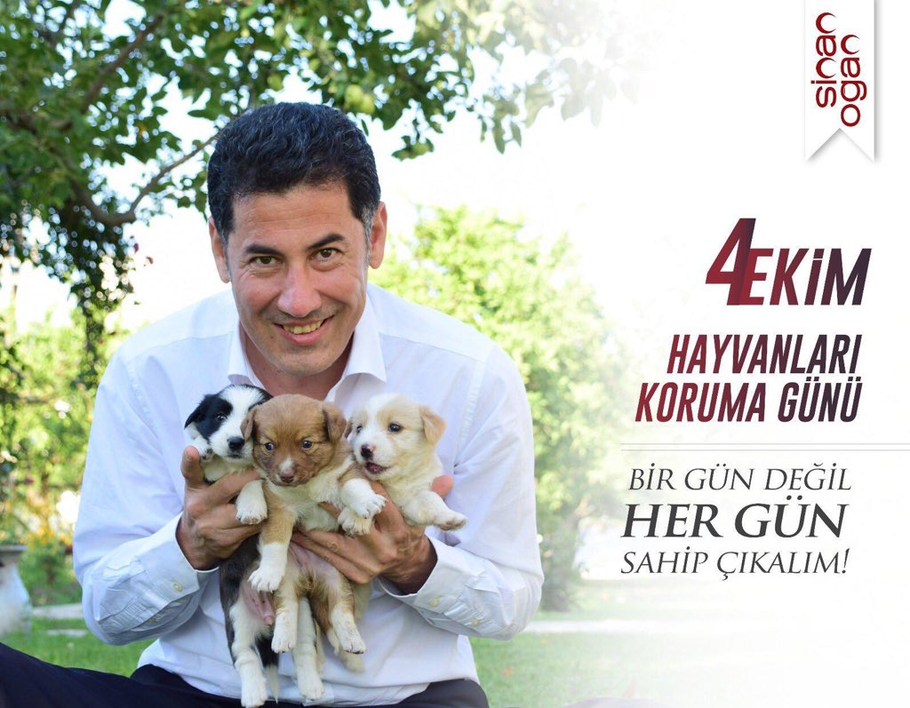 Bu şekerleri bir gün değil her gün sevelim. Koruyalım, kollayalım. Onların da can taşıdığını unutmayalım. Özellikle bu canlara eziyet edenlere sessiz kalmayalım...
#4EkimHayvanlarıKorumaGünü