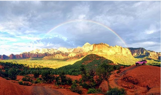 Pink Jeep Tours tweet media