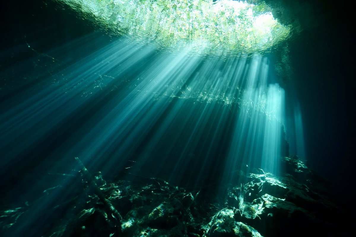 Ocean First Education tweet media