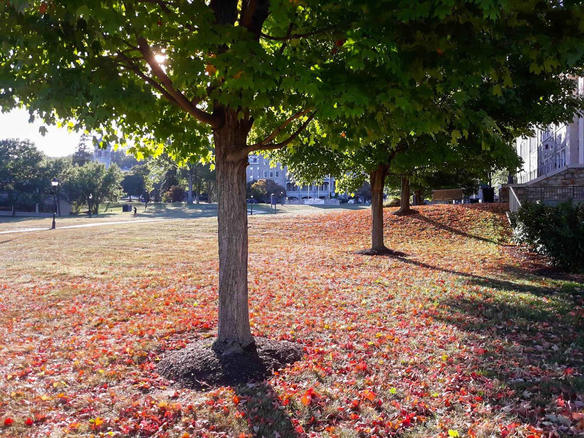 MSMMountainEcho's tweet photo. The leaves are changing colors on campus so that must mean one thing...we made it to fall break ππΌ enjoy your break Mounties!! #msmecho #gomount https://t.co/k7ZV4OrzyS