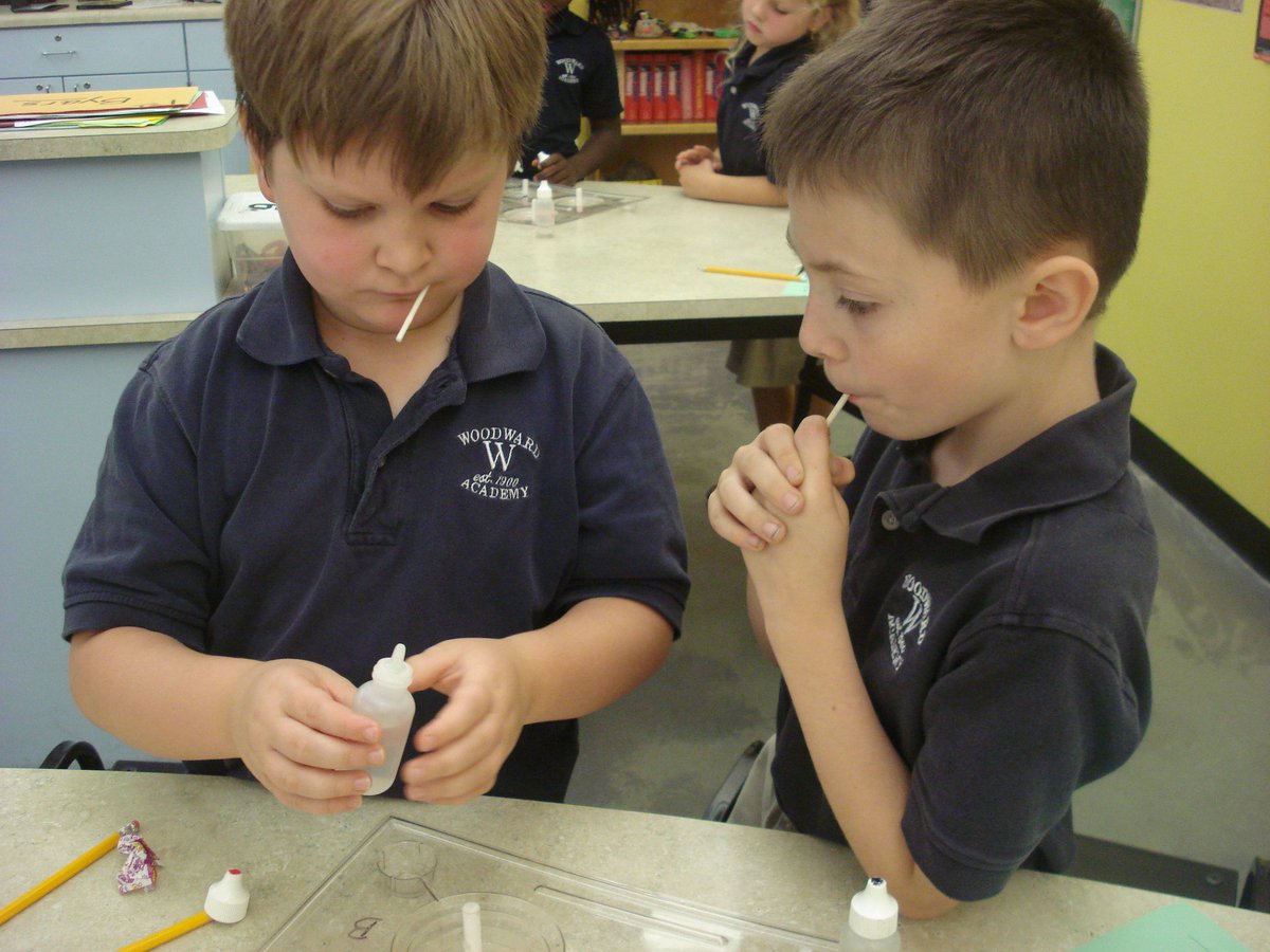 David Rogie tweet media