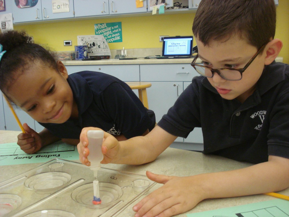 David Rogie tweet media