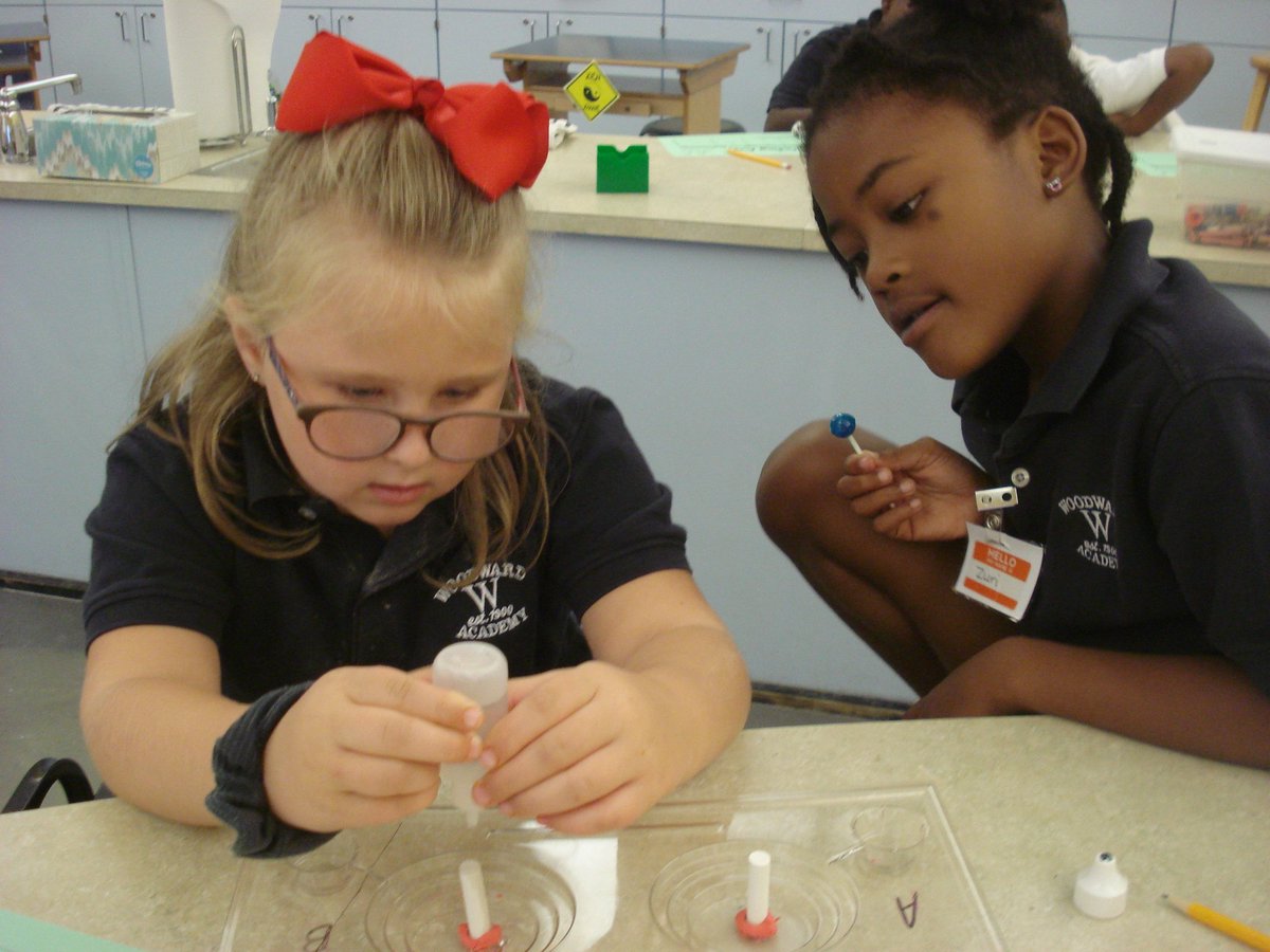 David Rogie tweet media